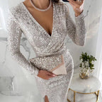 🎅Weihnachtsverkauf 59% Rabatt🎄Sexy Paillettenkleid im Bodycon-Stil✨