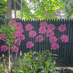 🔥DIY-Dekoration🌻 - Gartenzaun große Blumen-Zeichenschablonen