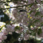 🎐Solar-Windspiel-Leuchte für den Außenbereich