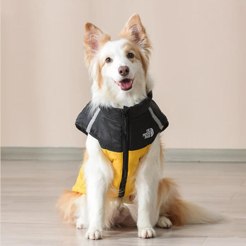 💖Black-Friday-Mega-Angebot – 50 % Rabatt!💖Wasserdichter, winddichter Winterhundemantel