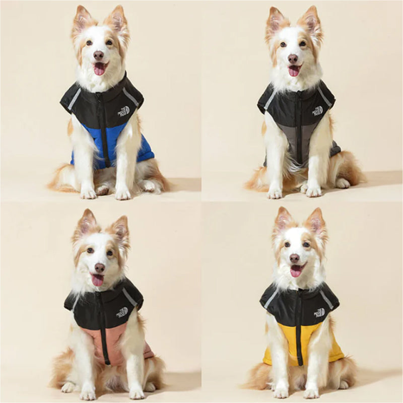 💖Black-Friday-Mega-Angebot – 50 % Rabatt!💖Wasserdichter, winddichter Winterhundemantel