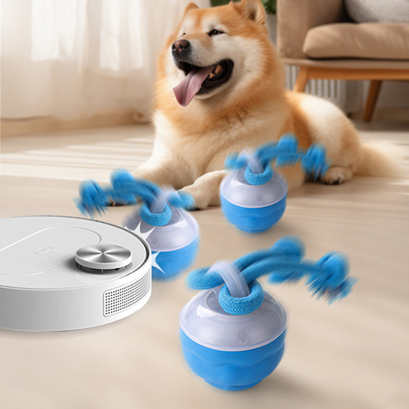 🎁Begrüßen Sie Weihnachten mit 50 % Rabatt💥Interaktiver elektronischer beruhigender Spielball für Haustiere