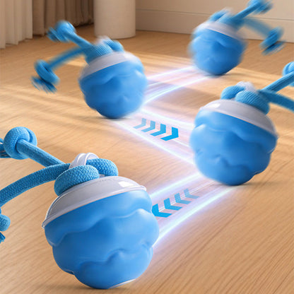 🎁Begrüßen Sie Weihnachten mit 50 % Rabatt💥Interaktiver elektronischer beruhigender Spielball für Haustiere