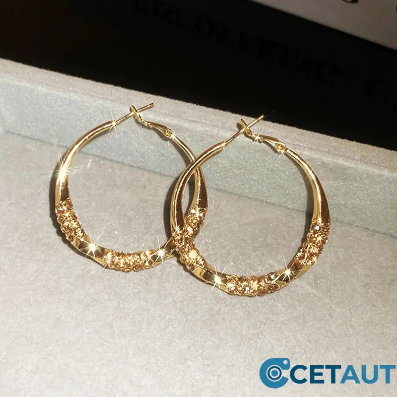 🌸🌸🌸Der Vorverkauf läuft!!! Wer zuerst kauft, bekommt zuerst!！！Circle Earrings with Zirconia