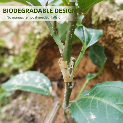 🌳 50% RABATT JETZT! ✨ Silikon-Veredelungshülsen – Flexibel, Wetterbeständig & Fördert das Anwachsen von Obstbäumen 🛠️🌱