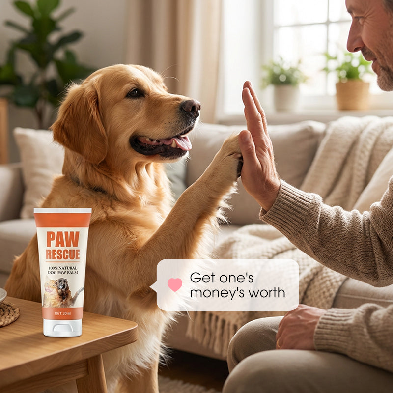 ⏳Begrenzte Zeit 50% Rabatt💥Lindernder Pfotenbalsam für rissige Hunde- und Katzenpfoten